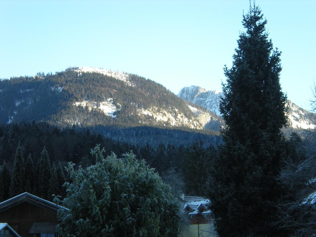 Pension Leprich Bad Goisern Exterior foto